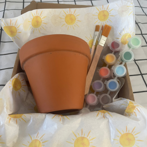 Paint and Plant Kit